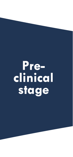 Pre-clinical stage