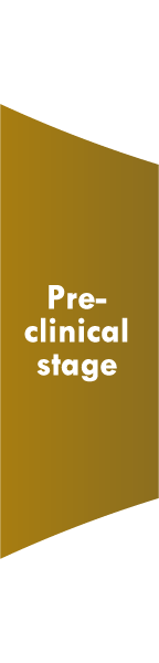 Pre-clinical stage