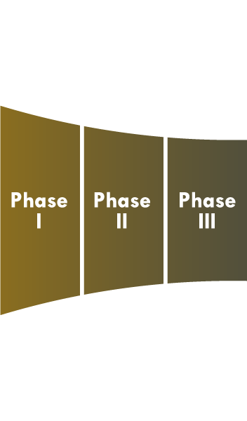 Phases I, II and III