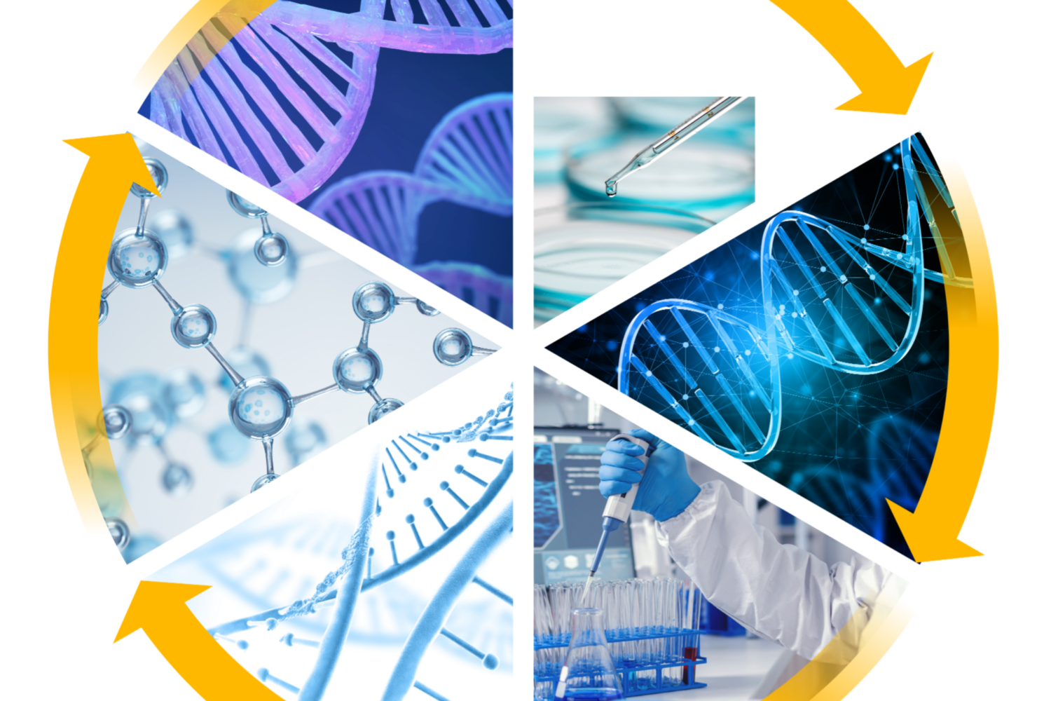 TRANSFORM MEP Interest Group webinar – TRANSFORM